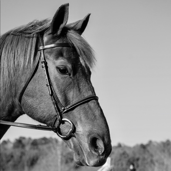 Meet your Posher, Caitlin - Picture 2 of 4